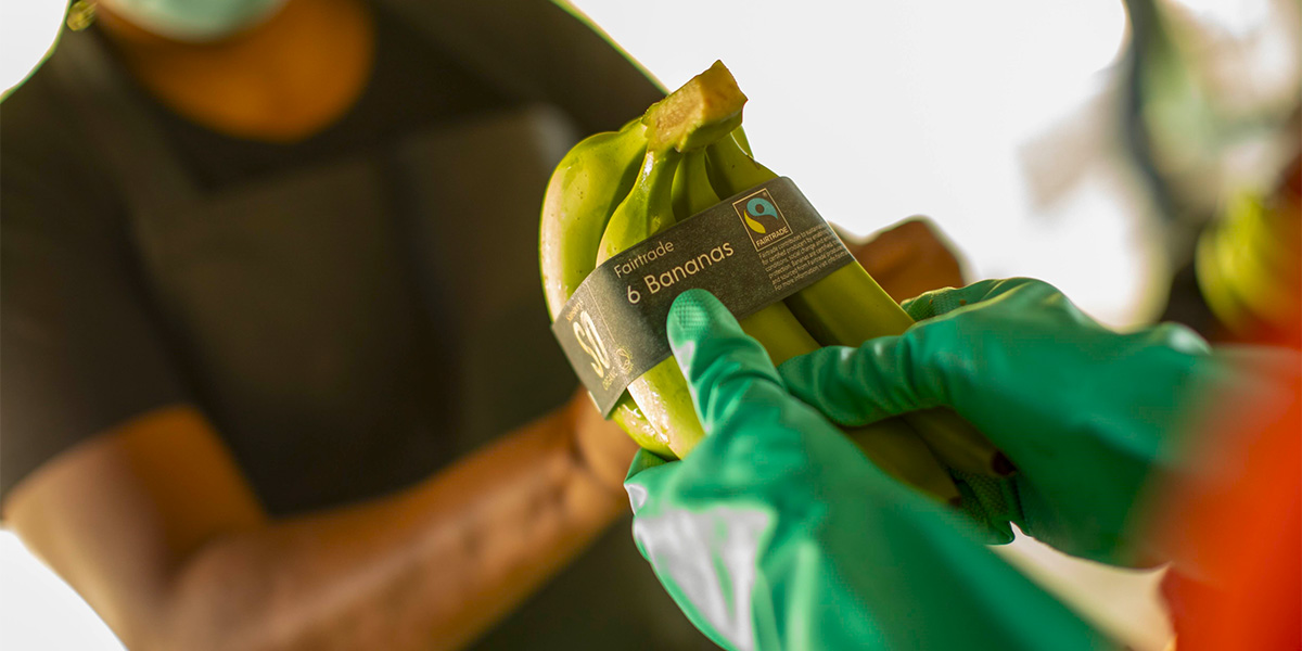 Fairtrade Italia, anno record: etica e fiducia trainano la crescita del commercio equo